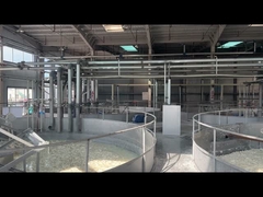 Yumuşak kapsül üretimi için farmasötik dereceli jelatin tozu